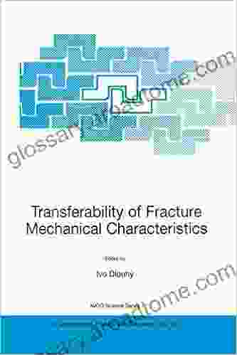 Transferability Of Fracture Mechanical Characteristics: Proceedings Of The NATO Final Project Workshop On Fracture Resistance Of Steels For Containers Mathematics Physics And Chemistry 78)