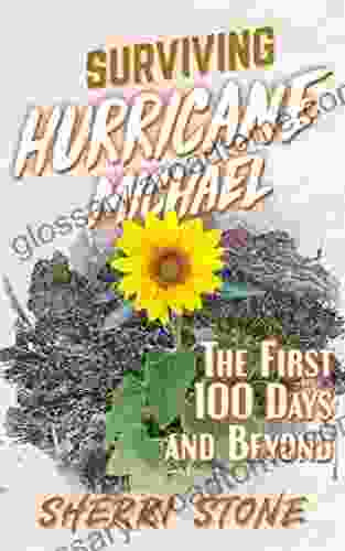 Surviving Hurricane Michael: The First 100 Days and Beyond