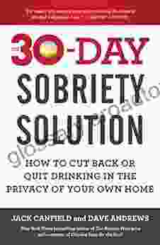 The 30 Day Sobriety Solution: How to Cut Back or Quit Drinking in the Privacy of Your Own Home