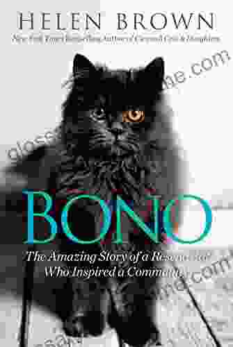 Bono: The Amazing Story Of A Rescue Cat Who Inspired A Community