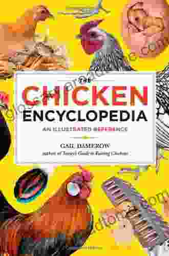 The Chicken Encyclopedia: An Illustrated Reference