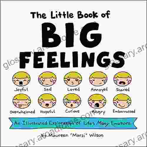 The Little Of Big Feelings: An Illustrated Exploration Of Life S Many Emotions