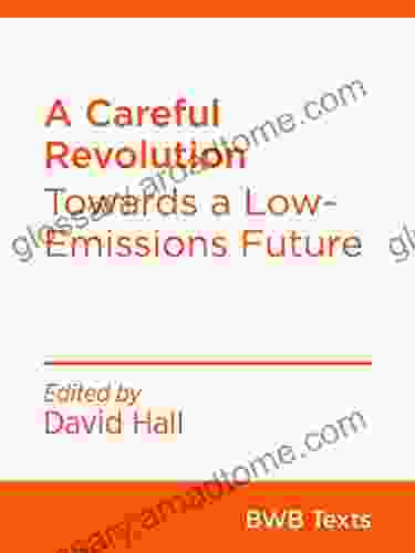 A Careful Revolution: Towards A Low Emissions Future (BWB Texts 75)