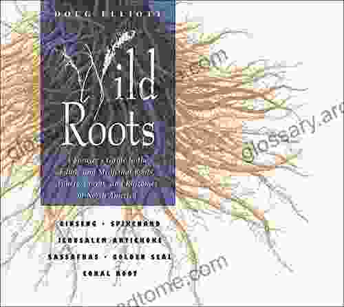 Wild Roots: A Forager S Guide To The Edible And Medicinal Roots Tubers Corms And Rhizomes Of North America