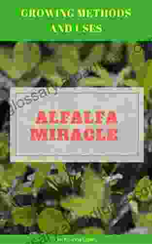 Alfalfa Miracle: Growing Methods And Uses