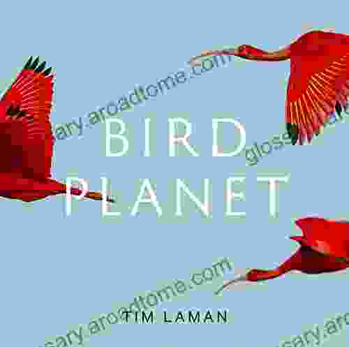 Bird Planet: A Photographic Journey