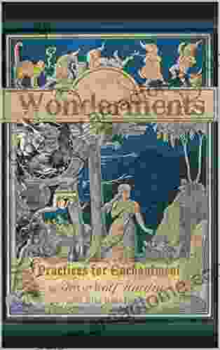 Wonderments: Practices For Enchantment Rick Carter Jr